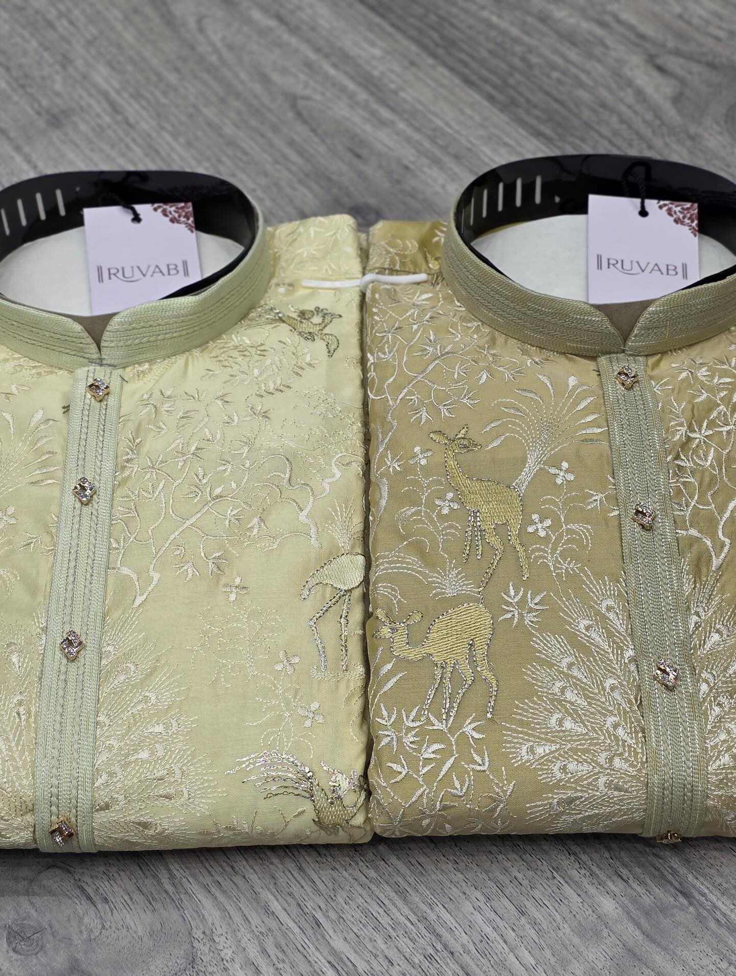 Embroidered Kurta - nature scenes